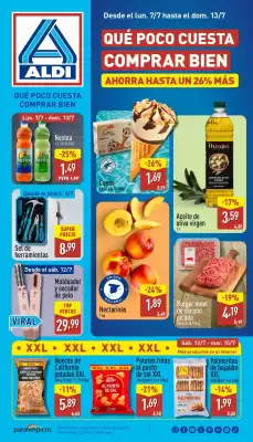 Folleto ALDI (válido hasta el 13-07)