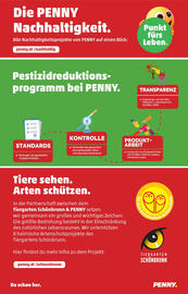 PENNY Flugblatt woche 27 Seite 28