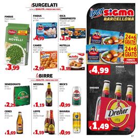 Volantino Iper Sigma Pagina 17