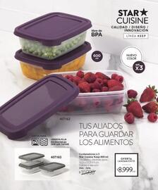 Catálogo Violetta Fabiani Página 101