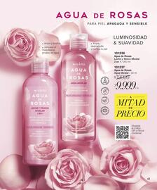 Catálogo Violetta Fabiani Página 41