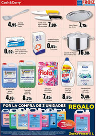 Folleto Cash FROIZ Página 13