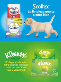 Folleto Costco Página 134