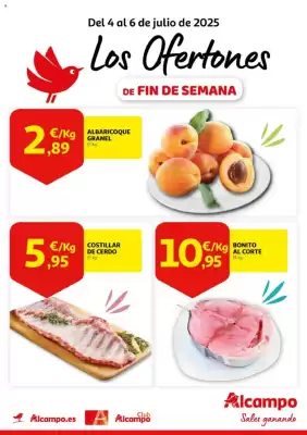 Folleto Alcampo (válido hasta el 6-07)