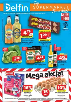 Delfin gazetka