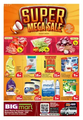 Bigmart catalogue (valid until 6-07)