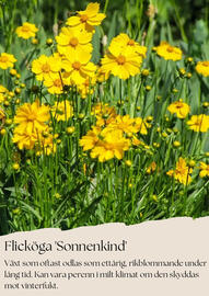 Plantagen reklamblad Sida 2