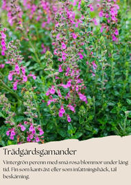Plantagen reklamblad Sida 5