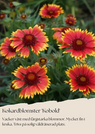 Plantagen reklamblad Sida 9