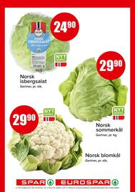 Eurospar Kundeavis Side 7