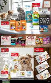 Catálogo Walmart Express Página 21