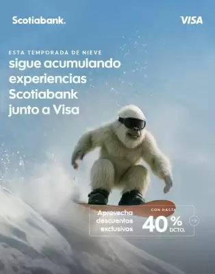 Catálogo Scotiabank (válido hasta 31-07)