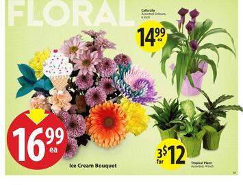 Save on Foods flyer Page 4