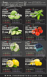 The Root Cellar flyer Page 2
