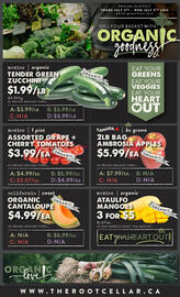 The Root Cellar flyer Page 3