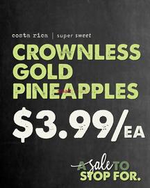 The Root Cellar flyer Page 8