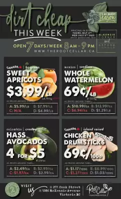 The Root Cellar flyer (valid until 9-07)