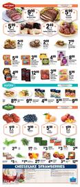 Sentry Weekly Ad week 27 Page 2