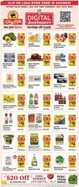 ShopRite Weekly Ad week 27 Page 3