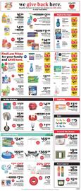 ShopRite Weekly Ad week 27 Page 9
