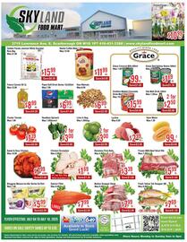 Skyland Foodmart flyer week 27 Page 1