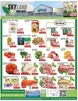 Skyland Foodmart flyer (valid until 11-07)