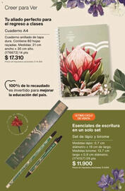 Catálogo Natura Página 255