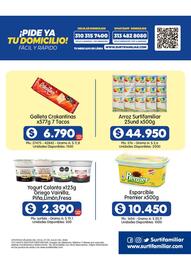 Catálogo Surtifamiliar Página 13