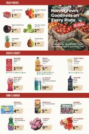 Marche Leo's flyer Page 3