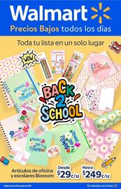 Catálogo Walmart Página 1