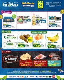 Catálogo Supermercados Surtiplaza Página 2