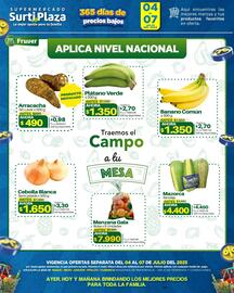 Catálogo Supermercados Surtiplaza Página 3