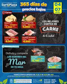 Catálogo Supermercados Surtiplaza Página 4