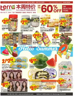 Terra Foodmart flyer (valid until 10-07)