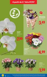 Folheto Lidl semana 28 Página 18