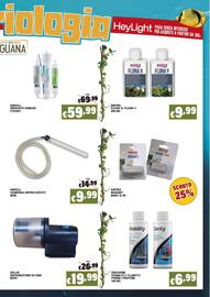 Volantino Zoomiguana Pagina 11