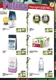 Volantino Zoomiguana Pagina 7