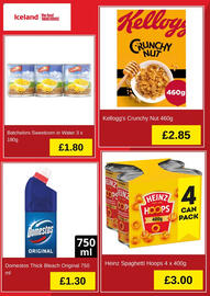Iceland leaflet Page 5