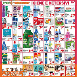 Volantino Iper Triscount Pagina 19