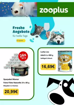 Zooplus Prospekt (gültig bis 3-08)