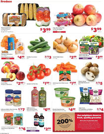 Family Fare Weekly Ad week 28 Page 7