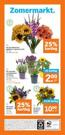 Albert Heijn folder week 28 Pagina 33