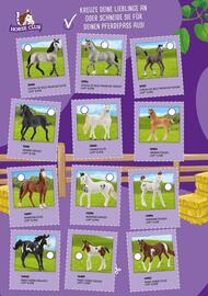 Catalogue Schleich page 88