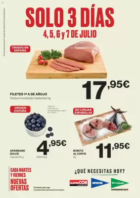 Folleto El Corte Inglés (válido hasta el 7-07)