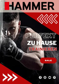 Hammer Prospekt Seite 1