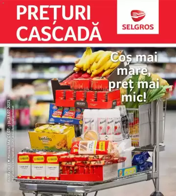 Catalog Selgros (valid până la 31-07)