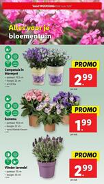 Lidl folder week 28 Pagina 29