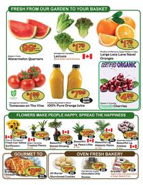 The Garden Basket flyer week 27 Page 2