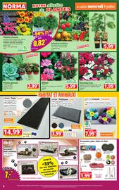 Catalogue Norma semaine 28 page 4