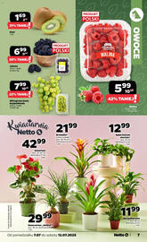 Netto gazetka tydzień 28 Strona 7
